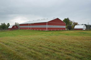 Arena Barns - Country homes for sale and luxury real estate including horse farms and property in the Caledon and King City areas near Toronto